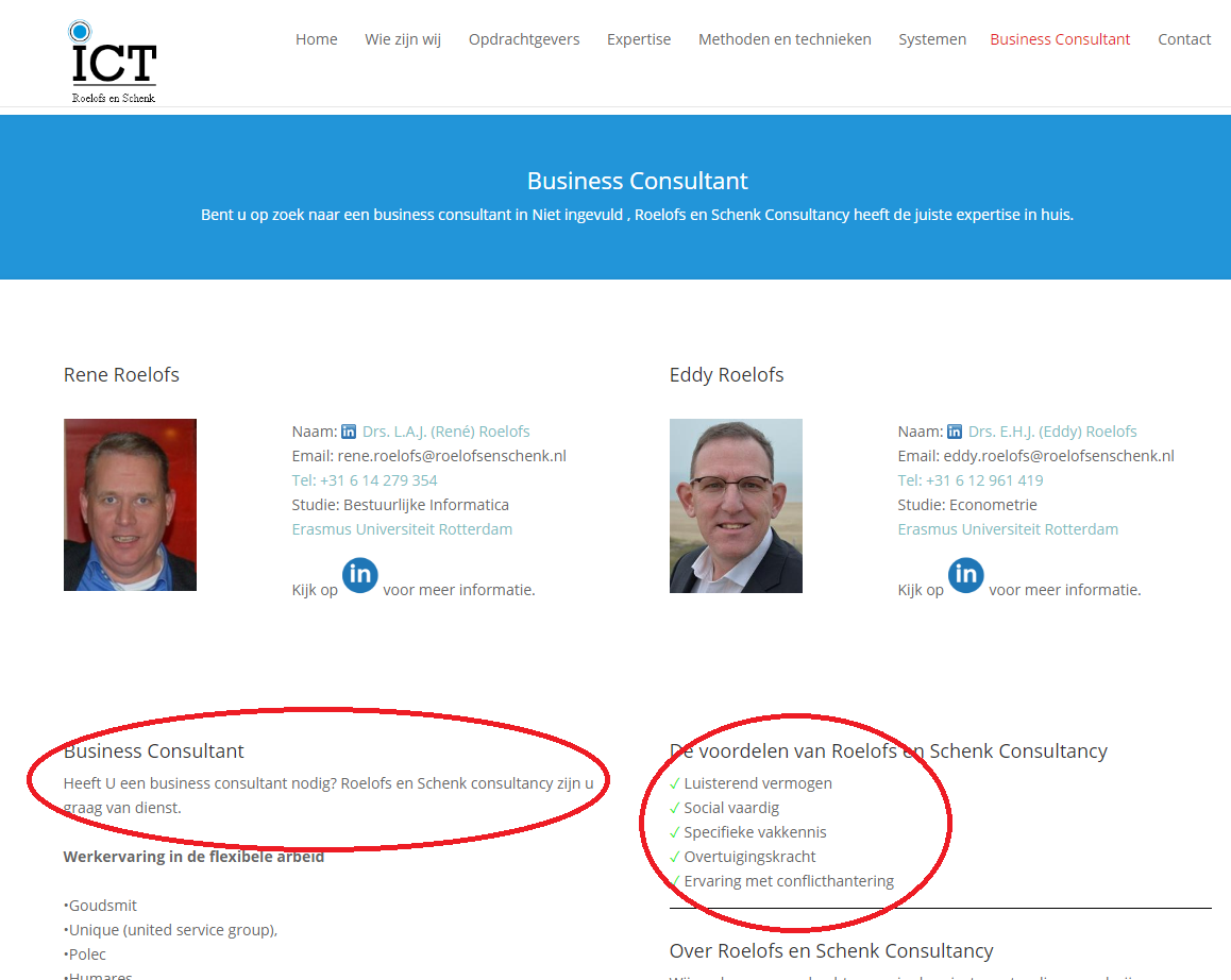 Gegenereerde SEO pagina voor Business Consultant van Roelofs en Schenk Consultancy